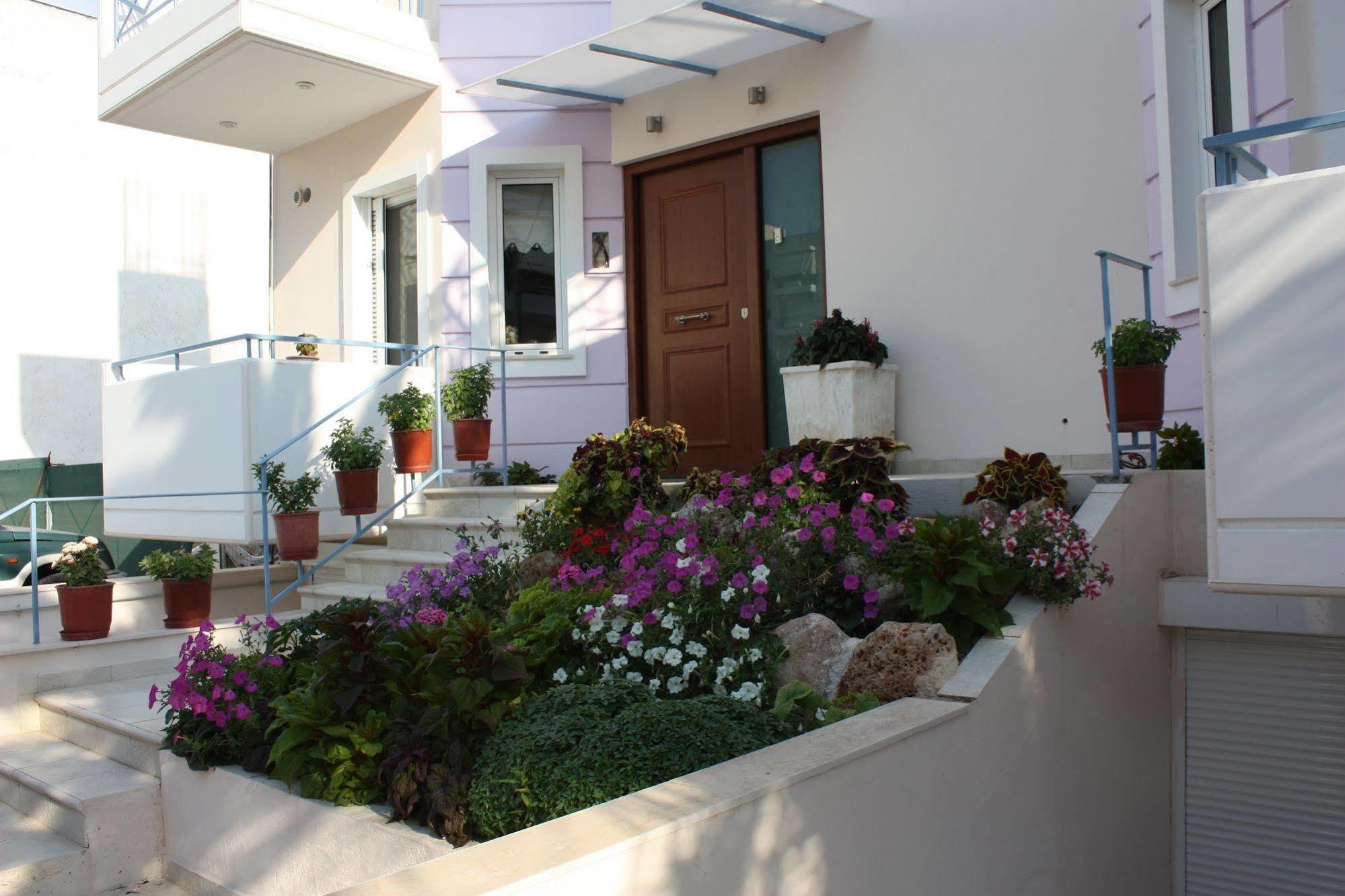 Veggie Garden Athens B&B Ngoại thất bức ảnh