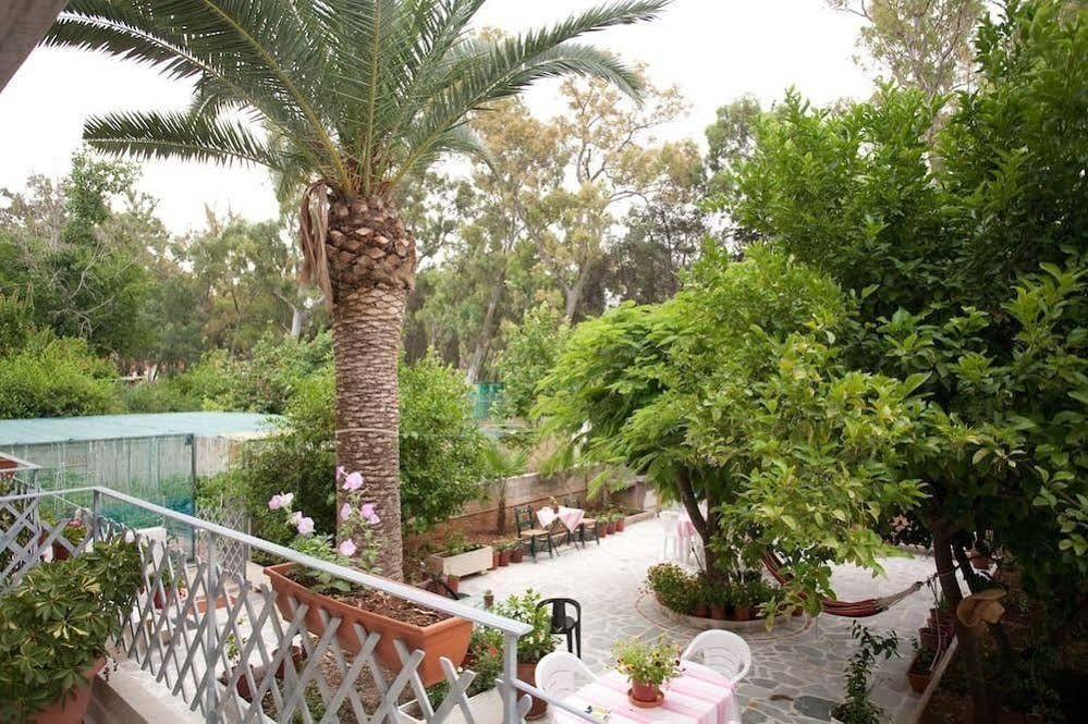 Veggie Garden Athens B&B Ngoại thất bức ảnh